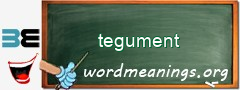 WordMeaning blackboard for tegument